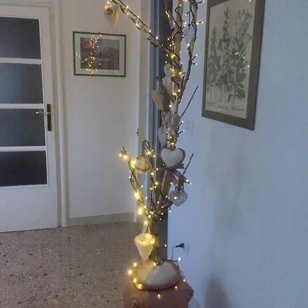 Apartment Cele